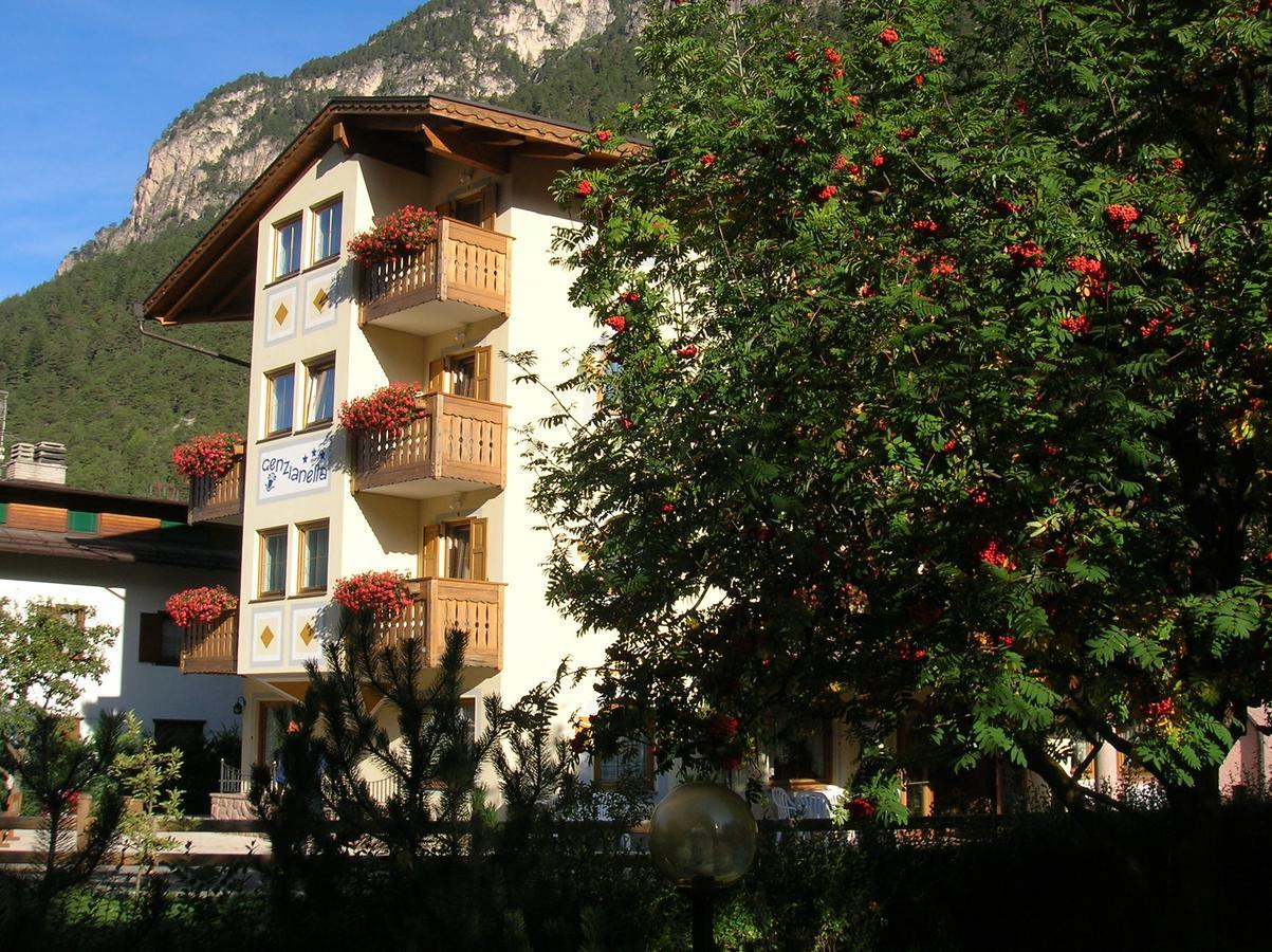 Hotel Genzianella Циано-ди-Фьемме Экстерьер фото